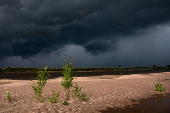 Before the storm / ***