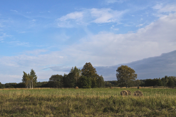 Native open spaces / ***