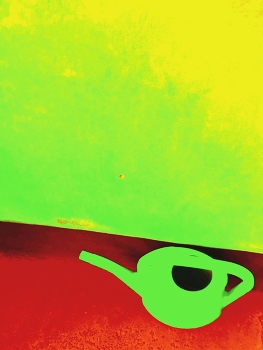 &nbsp; / ***