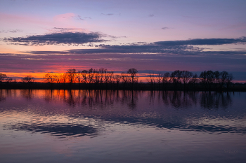 In the twilight. / ***