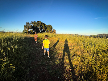 Precious Time / Sharing hobbies with my kids