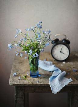 With the forget-me ... / ***