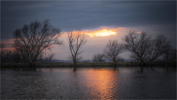 Landscape / ***