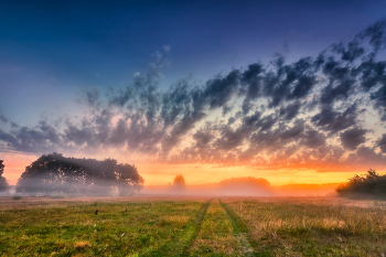 Summer morning. road along neman / ***