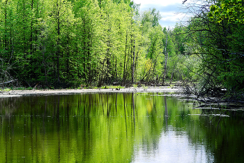 The smell of spring / ***