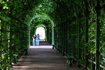 Summer Garden / ***