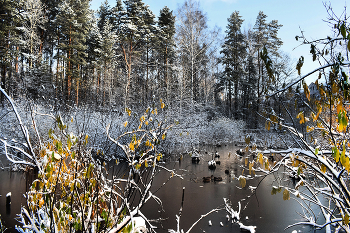The morning after the first snow / ***