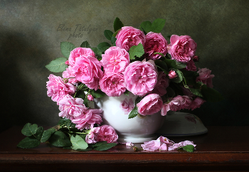 Roses / ***