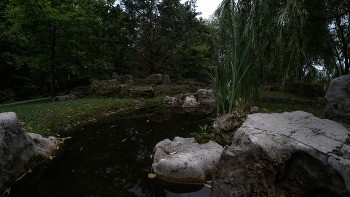 Walking in summer park / ***