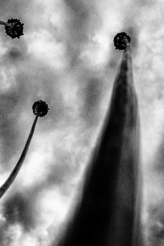 Life around / ***
