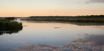 Morning on the lake / ***