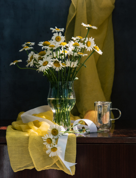 Daisies / ***