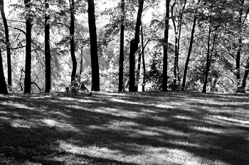 Breakfast on the Grass / ***