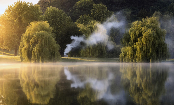 Smoke / ***
