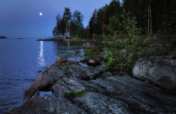 Moonlight. / ***