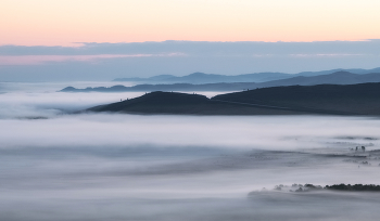 Morgennebel / ***