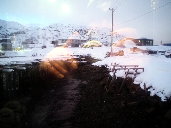 Landscape / ***