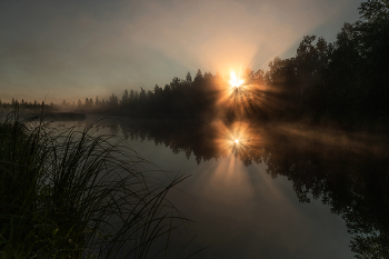 New day / ***