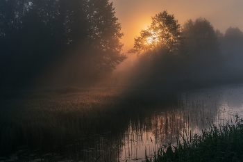 At dawn / ***