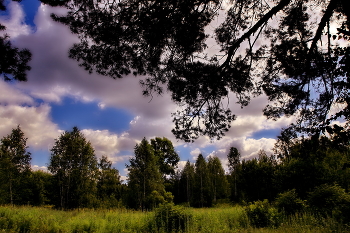 Evening. / ***