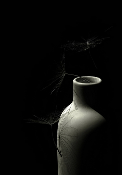 weightlessness / ***