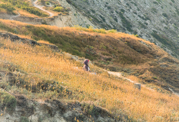 Together with nature / ***