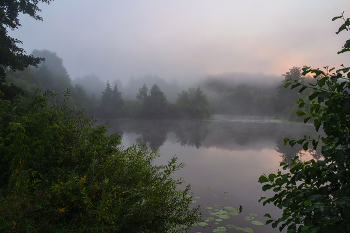 Fog at dawn. / ***