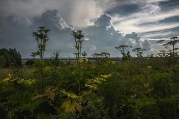 Before the storm / ***