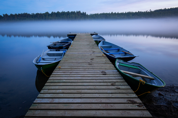 Fog dissipates / ***