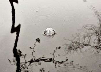 Rain / ***