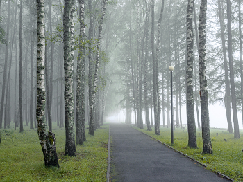 Landscape / ***
