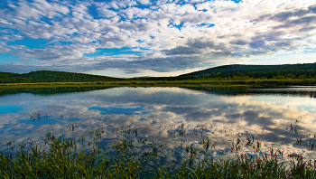 Summer panorama / ***