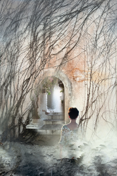 A dream in a summer night / ***