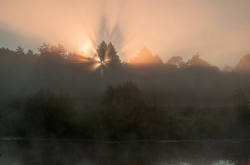 Rays. / ***