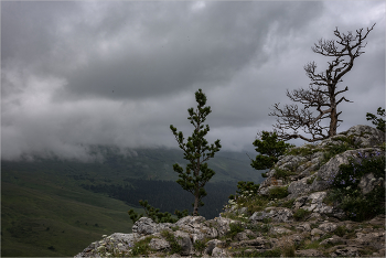 ***Higher than clouds / ***