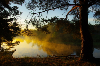 Morning landscape / ***