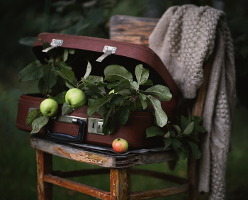 Apple ... / ***