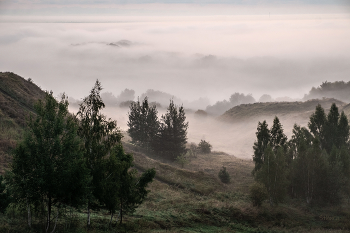 Fog / ***