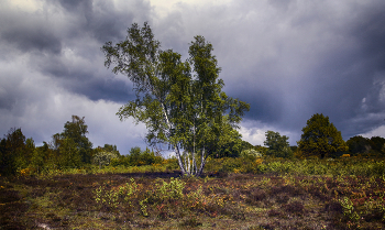 Bad weather / ***