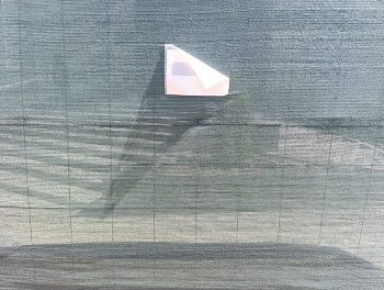 &nbsp; / ***