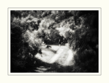 Bouquet / ***