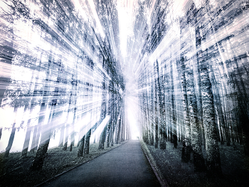 Light / ***