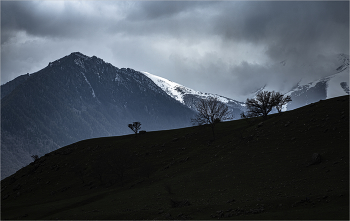 Caucasus / ***