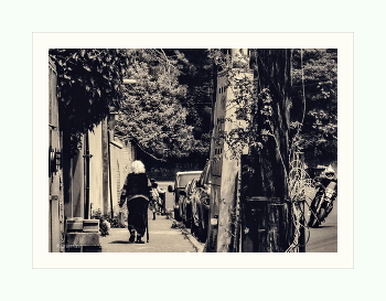 Rhythms / ***