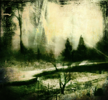 &nbsp; / ***