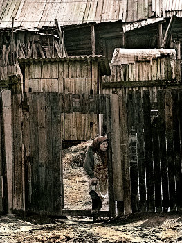 Gate / ***
