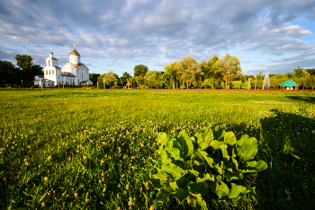 &nbsp; / ***