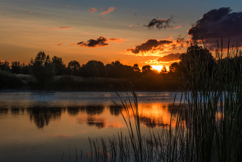 Sunrise / ***