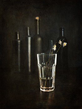 Forgotten / ***