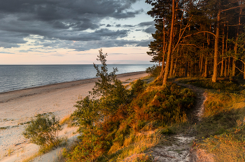 Path in the dunes / ***